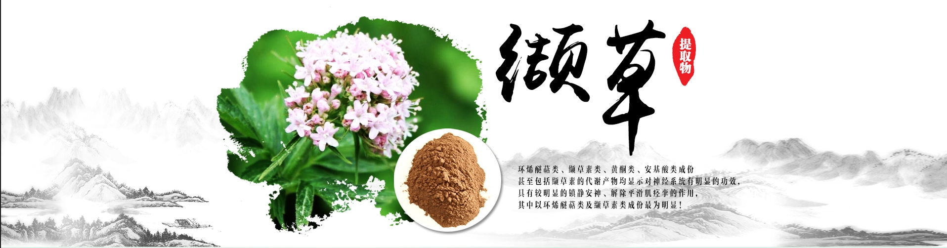 详情2.png