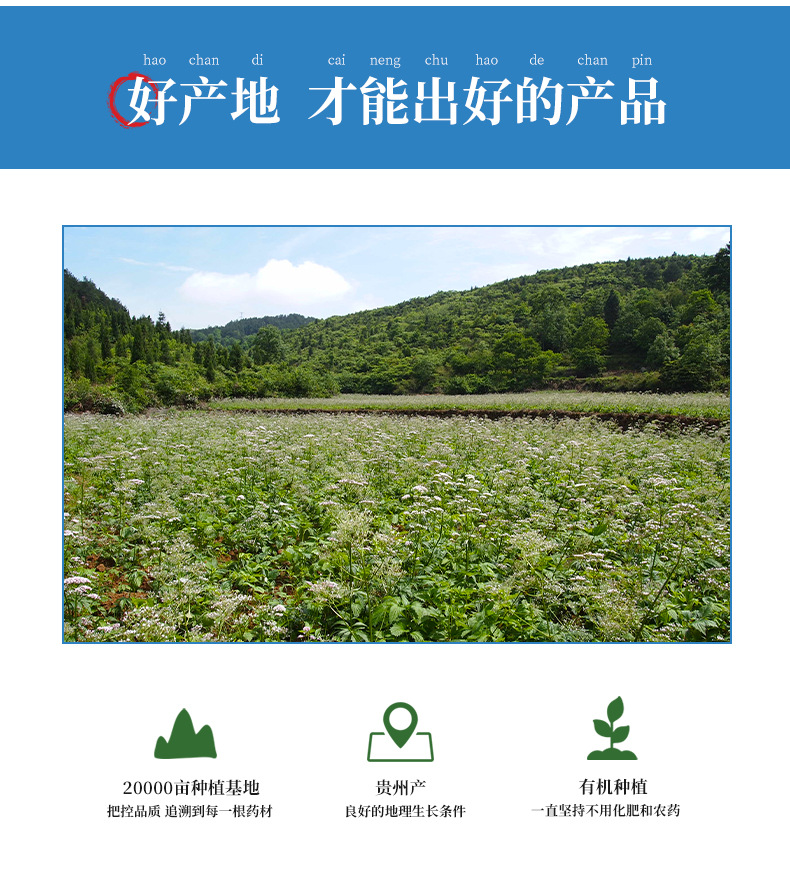 详情5.jpg